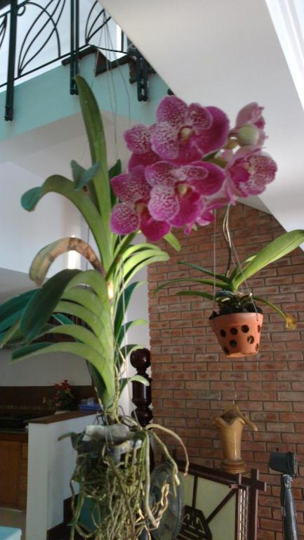 Flower Garden Homestay Hoi An Luaran gambar